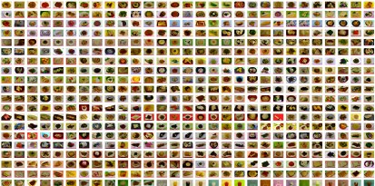 フードイメージ